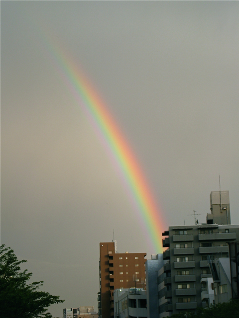 so_rainbow.jpg